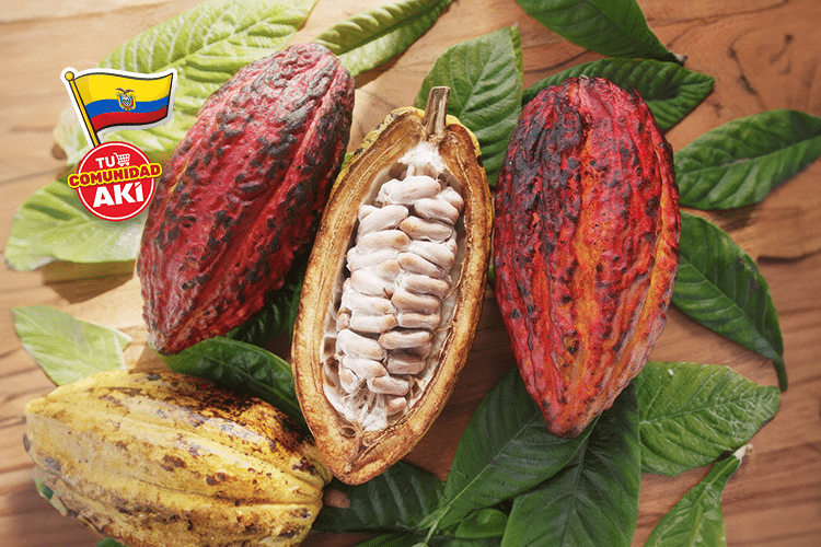 Cinco productos derivados del cacao